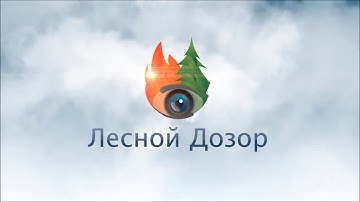 Lesnoy Dozor   system for forest monitoring and early detection of forest fires
