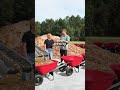 mrbeast #mrbeast#mrbeastshorts#shortvideo#shortsfeed#shortsviral#shortsyoutube#trending#viral