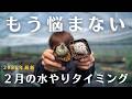 【塊根植物】２月の水やり方法完全攻略法