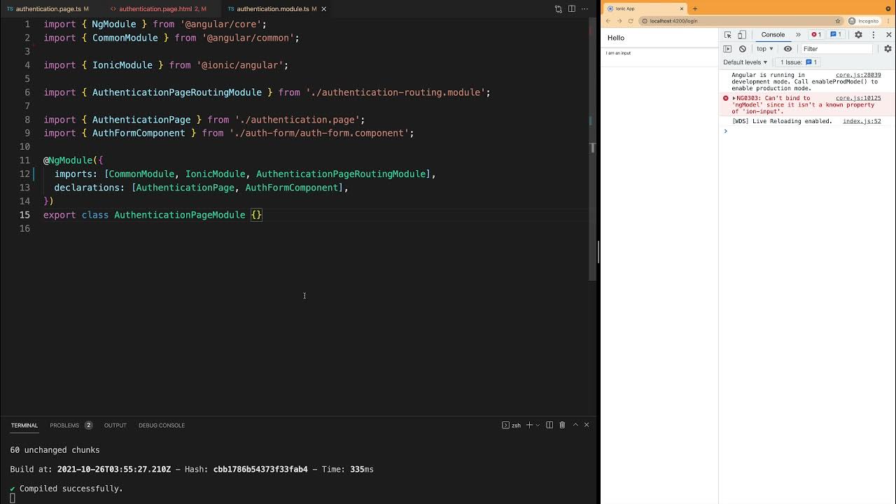 Can’t bind to ngModel since it isn’t a known property of input - YouTube
