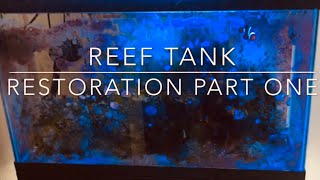 Reef Tank Restoration...Life Happens