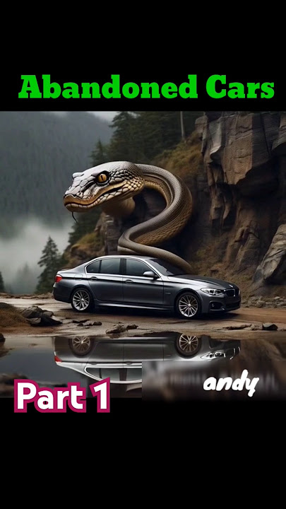Cars and Snake / Abandoned Car #bmw #phyton #snake #anaconda Nature Exploration