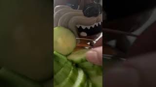 yummmmy??cucumber for snacks dog satisfying maddog youtubeshorts viral trending