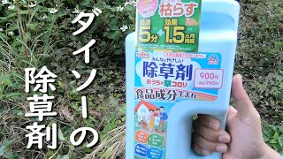 【みんなにやさしい除草剤おうちの草コロリ】をダイソーで買ったから試します