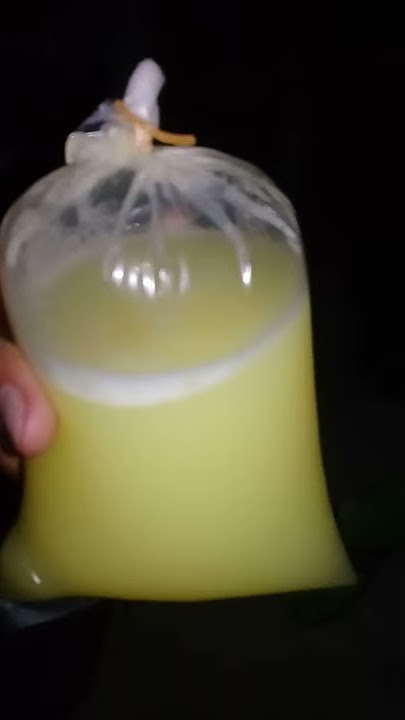 Bahaya tuak saat di buka lihat apa yang terjadi