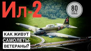 Штурмовик Ил-2. Почему их осталось только два? Как живут самолеты-ветераны? Интервью с реставратором