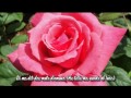 Portland Rose Garden, La Vie en Rose - Patricia Kaas, (with lyrics &amp; Eng. Translation)