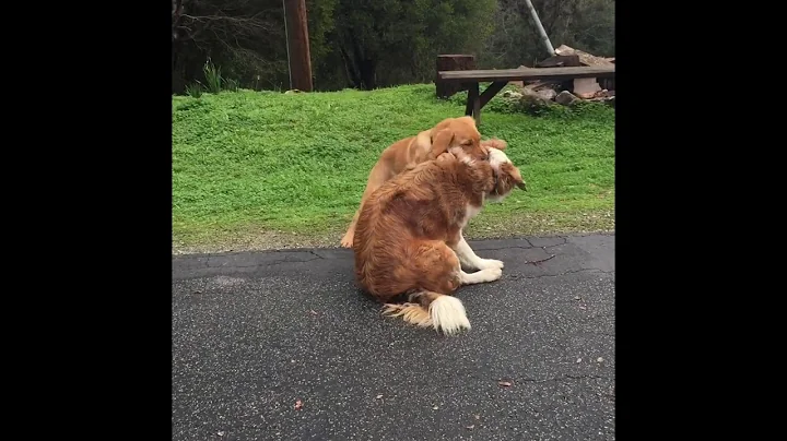 Can you wiggle