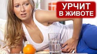 Урчит в Животе – как Избавиться? Урчание в Животе и что с этим Делать?