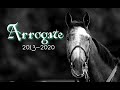 Arrogate ~Tribute
