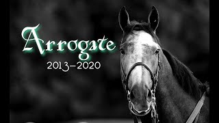 Arrogate ~Tribute