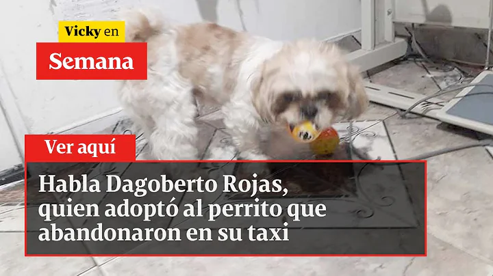 Habla Dagoberto Rojas, quien adopt al perrito que ...