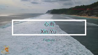 心雨 ( Xin Yu ) Female Version - Karaoke mandarin with drone view