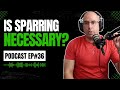 Is Sparring Necessary To Improve Your Wing Chun? | Wing Chun by Design Podcast Ep 36