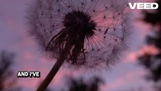 Ruth B - Dandilions