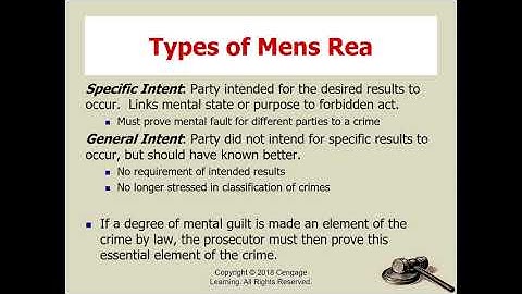 Chapter 3 Criminal Law