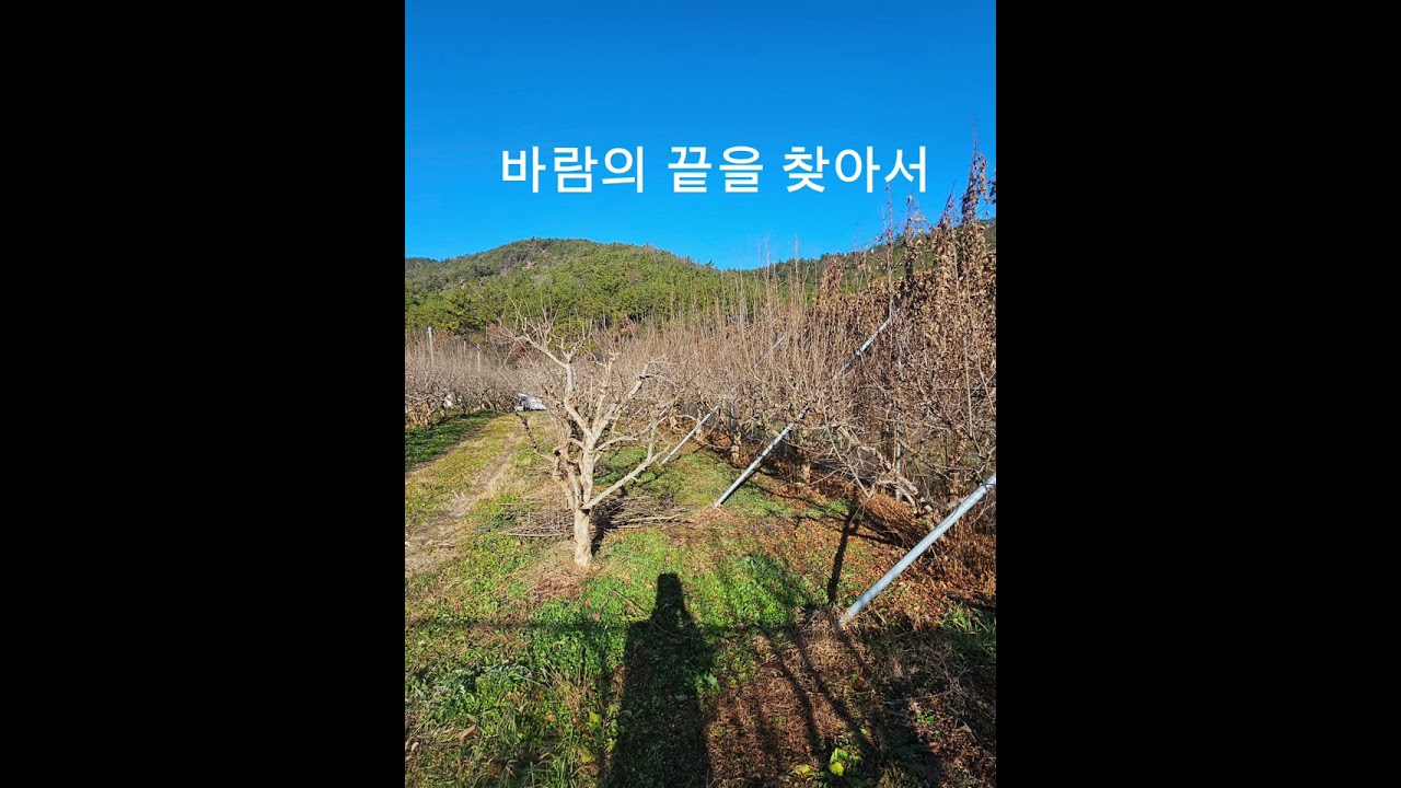 바람의 끝을 찾아서 