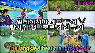꼭 해봐야 하는 , 말레이시아 대표 투어, 랑카위 맹그로브 단독 투어, 여행은 양보다 질!