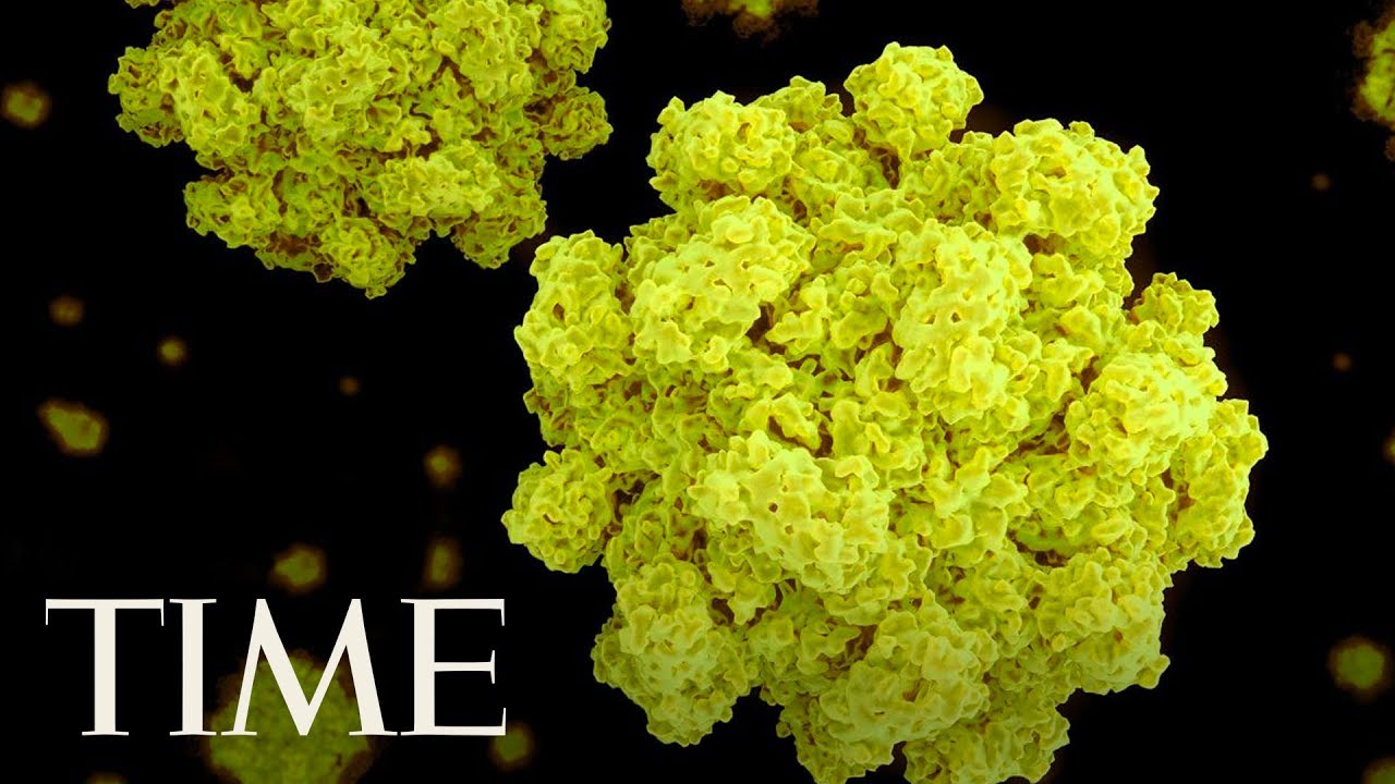 norovirus en alabama