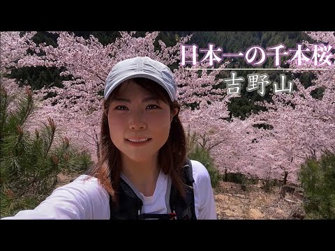 【吉野山】日本一の桜の名所で食べ歩き登山【絶景映像】