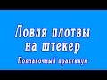 Ловля плотвы на штекер | Поплавочный практикум