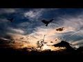 Megaraptor - L`oiseau (Instrumental Metal Cover from Belle et Sebastien)