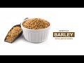 Allah ki naimatein  benefits of barley in the light of hadith  masala tv