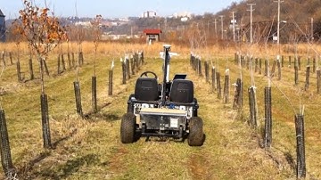 Monocular Row Following in Orchards