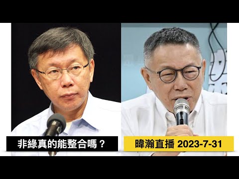 暐瀚直播 2023-7-31 非綠真的能整合嗎？