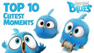 Angry Birds Blues  - Top 10 Cutest Moment