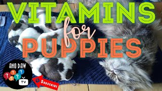 Vitamins for puppies | Vitamins para sa tuta