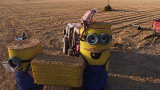 Hogy Kerültek Rajka Határába Minyonok?