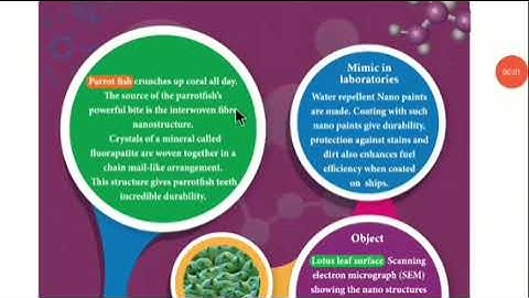 Recent developments in physics class 12