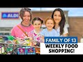 Aldi food shopping  groceries for my 11 kids