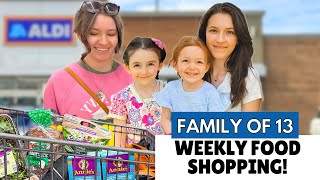 ALDI FOOD SHOPPING | GROCERIES FOR MY 11 KIDS