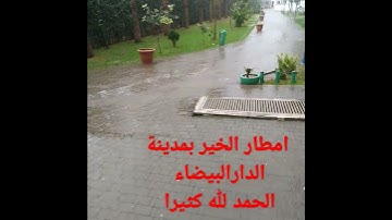 #القرآن_الكريم #السعودية #المغرب #الجزائر #مصر #العراق #quran #تلاوات #foryou #الامارات #الاردن #قطر