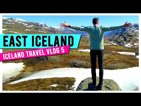 ROAD TRIP ICELAND ITINERARY 2023 - East Fjords Iceland & Seydisfjordur, Egilsstadir Travel Vlog