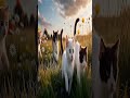 ai kittens dancing together