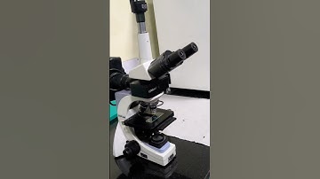 #explore#lab#chemistry#experiment#viralshort#shorts#new#video#funny#funnyvideo#funnyshorts#youtube