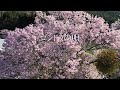 ゴンドラの唄（日本の歌謡曲）