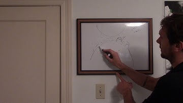 Spur Gear Tooth Design
