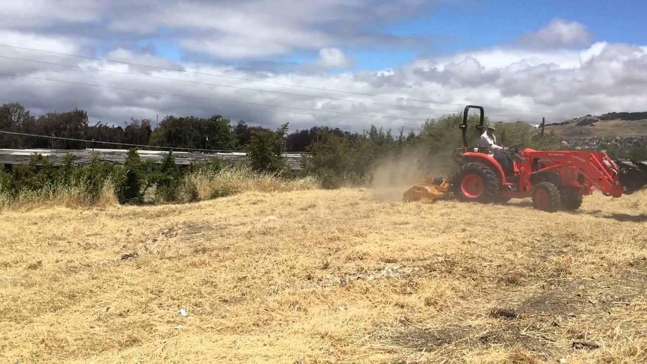 Vallejo Ca. Weed abatement