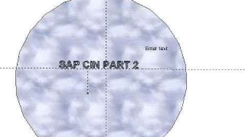 sap cin 2