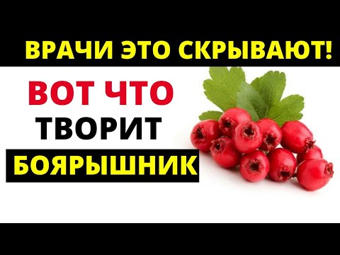 ВРАЧИ ОБ ЭТОМ МОЛЧАТ! Что творит Боярышник с организмом.