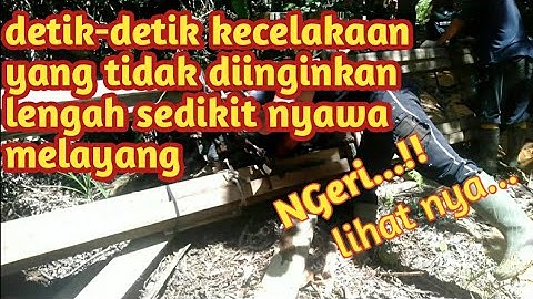 detik-detik tertimpa kayu//ojek kayu palang kalimantan@ARIF RET KYU