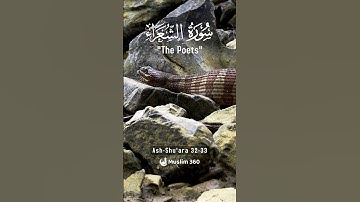Surah Ash Shu'ara 32-33 Hindi - Urdu Audio translation | سورة الشعراء
