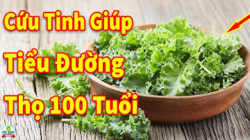 3 Loại Rau Xanh Người Tiểu Đường Càng Ăn Càng Sống Lâu Sống Khỏe Cả Đời Không Lo Biến Chứng