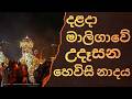 හෙවිසි නාදය සහ දළදා පූජා – සිත සන්සුන් කරන වීඩියෝවක් /24/7 LIVE NOW