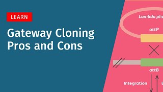Gateway Cloning Pros and Cons: Speed, Throughput, and Limitations