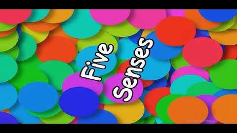 what skills do scientists use? skills lesson 2 gr2